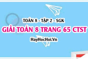 Giải Toán 8 trang 65 tập 2 Chân trời sáng tạo
